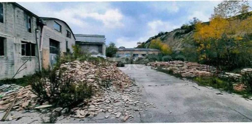immagine annuncio 9 di 11