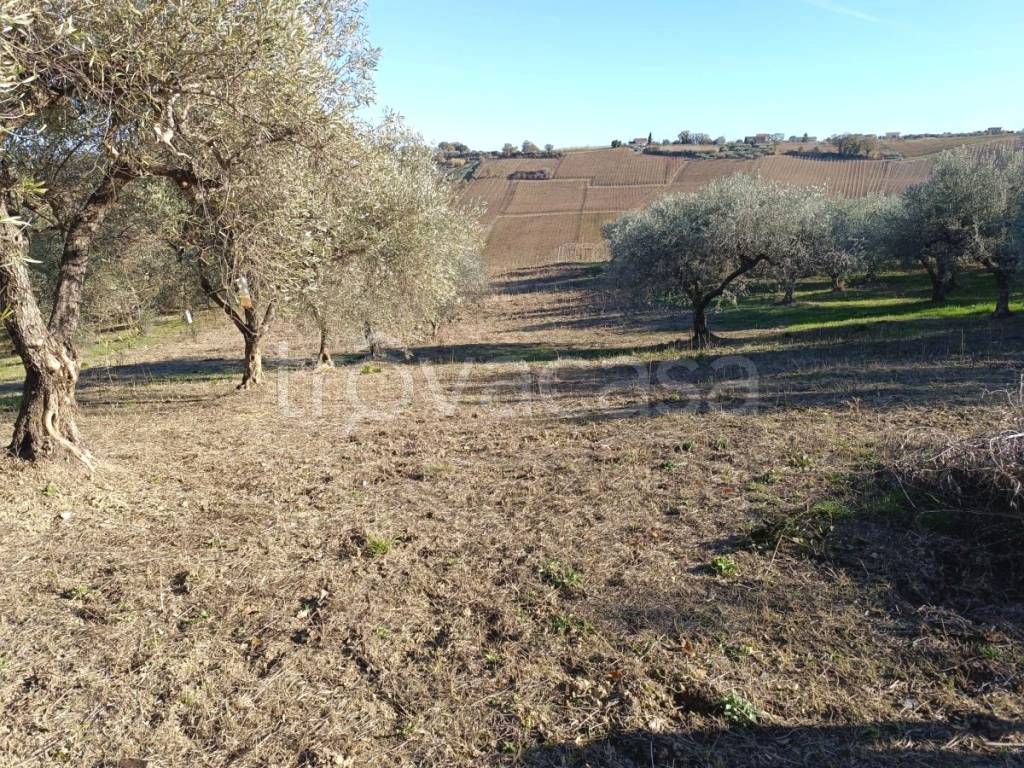 immagine annuncio 5 di 6