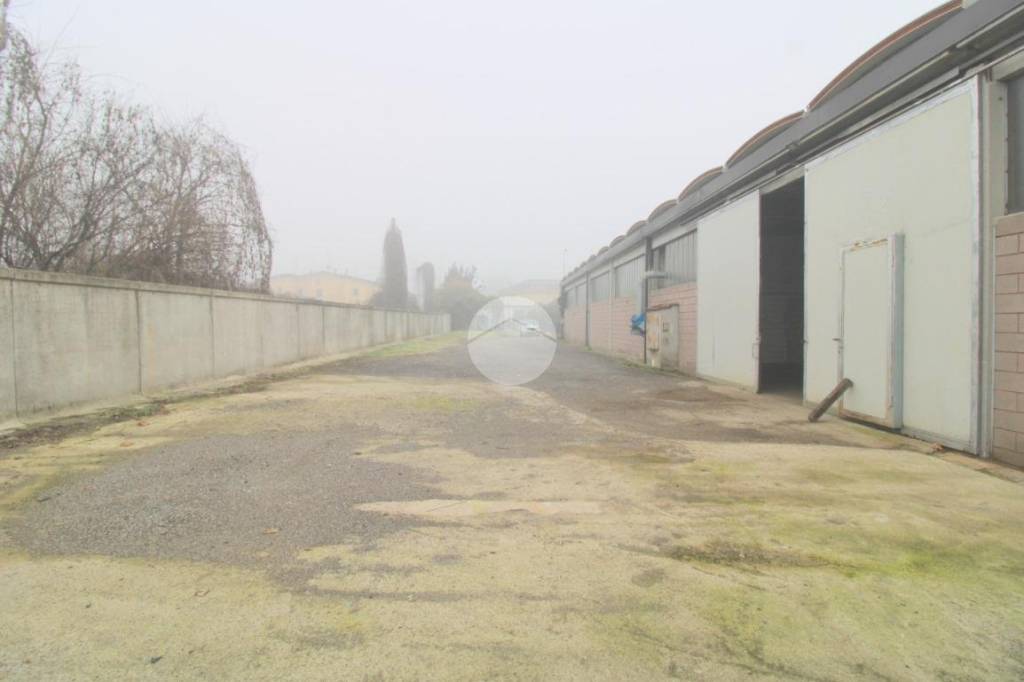 immagine annuncio 2 di 9