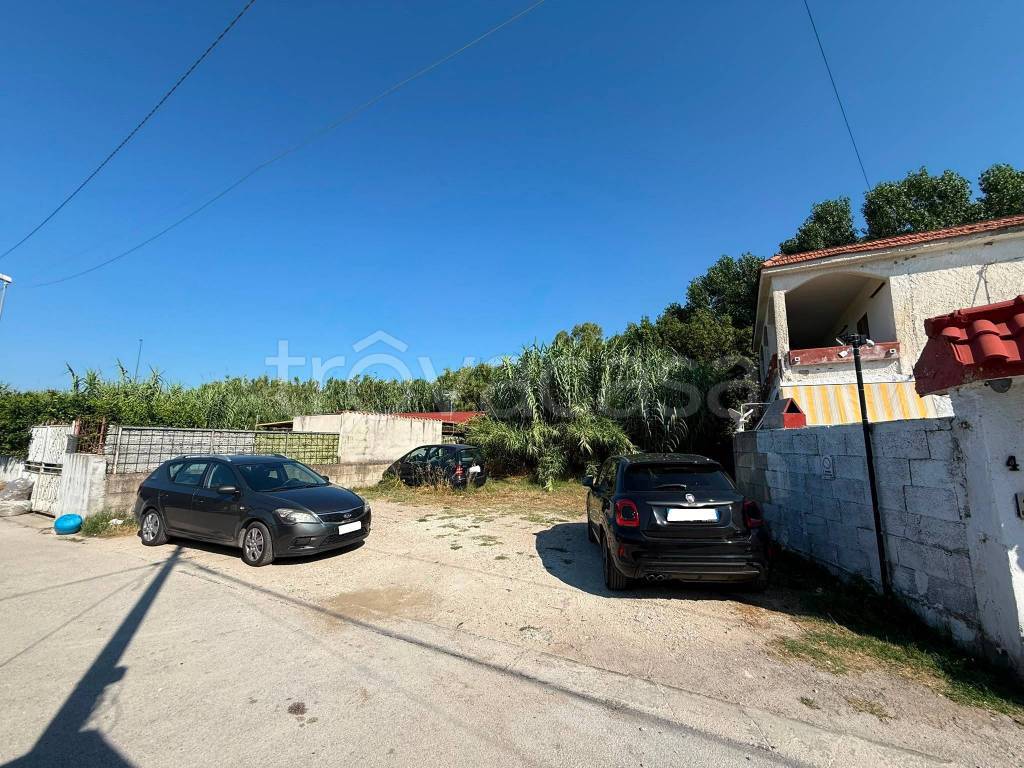 immagine annuncio 3 di 6