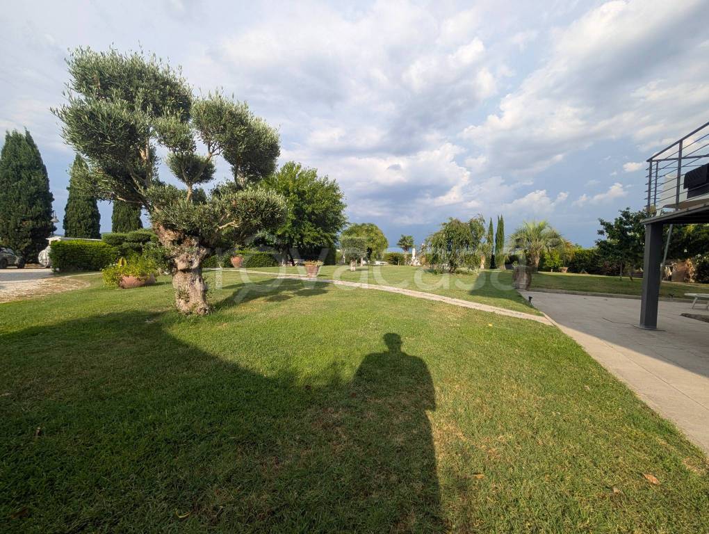 immagine annuncio 11 di 15