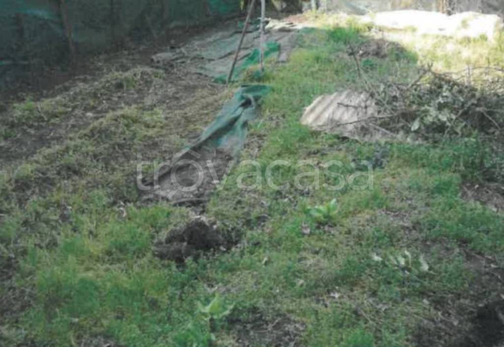 immagine annuncio 8 di 12