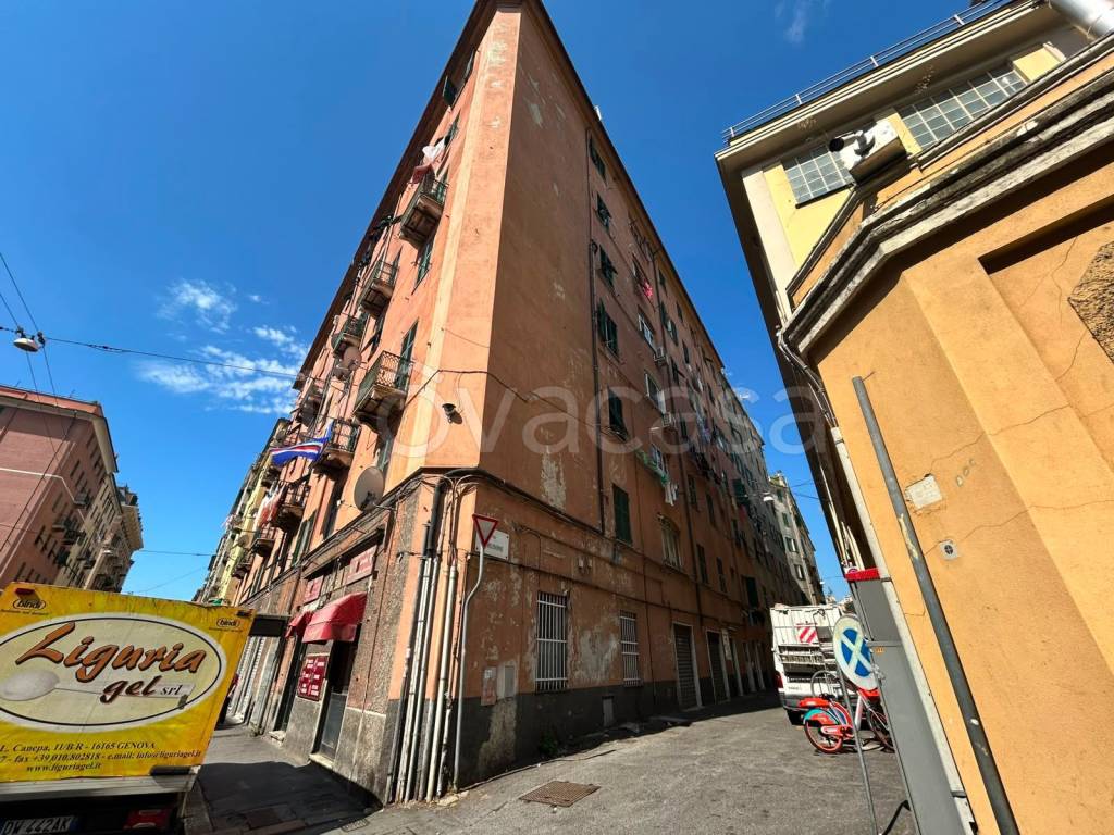 immagine annuncio 2 di 6
