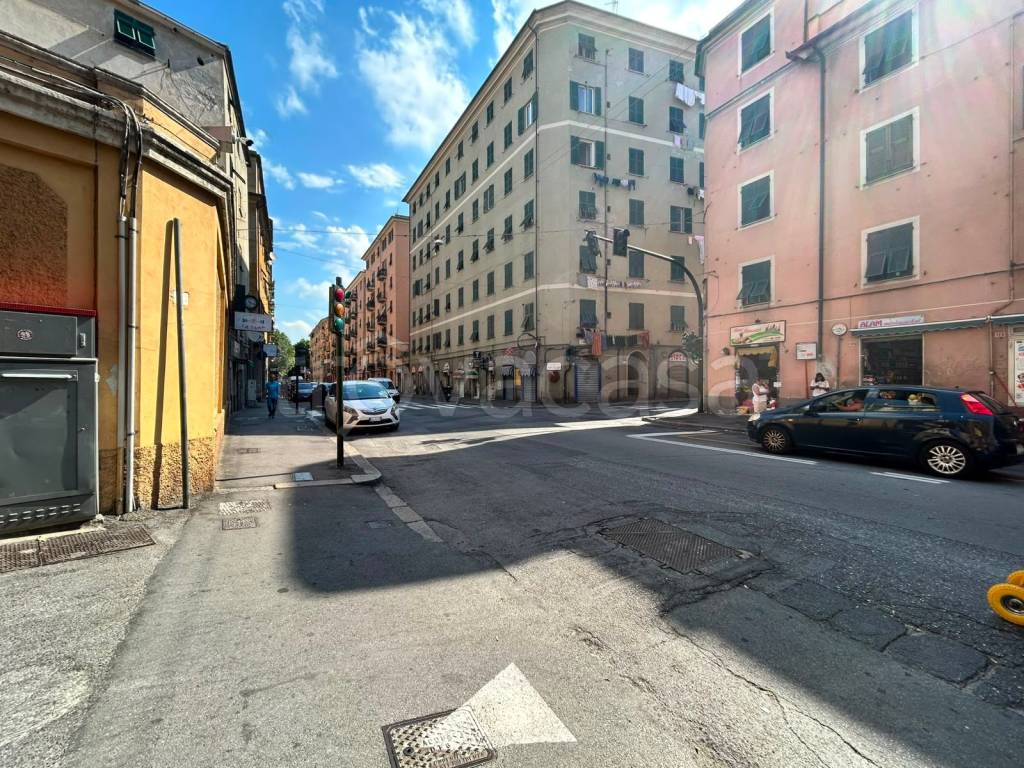 immagine annuncio 3 di 6