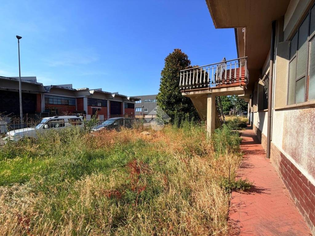 immagine annuncio 9 di 15