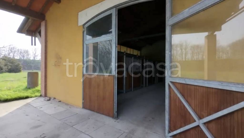 immagine annuncio 11 di 14