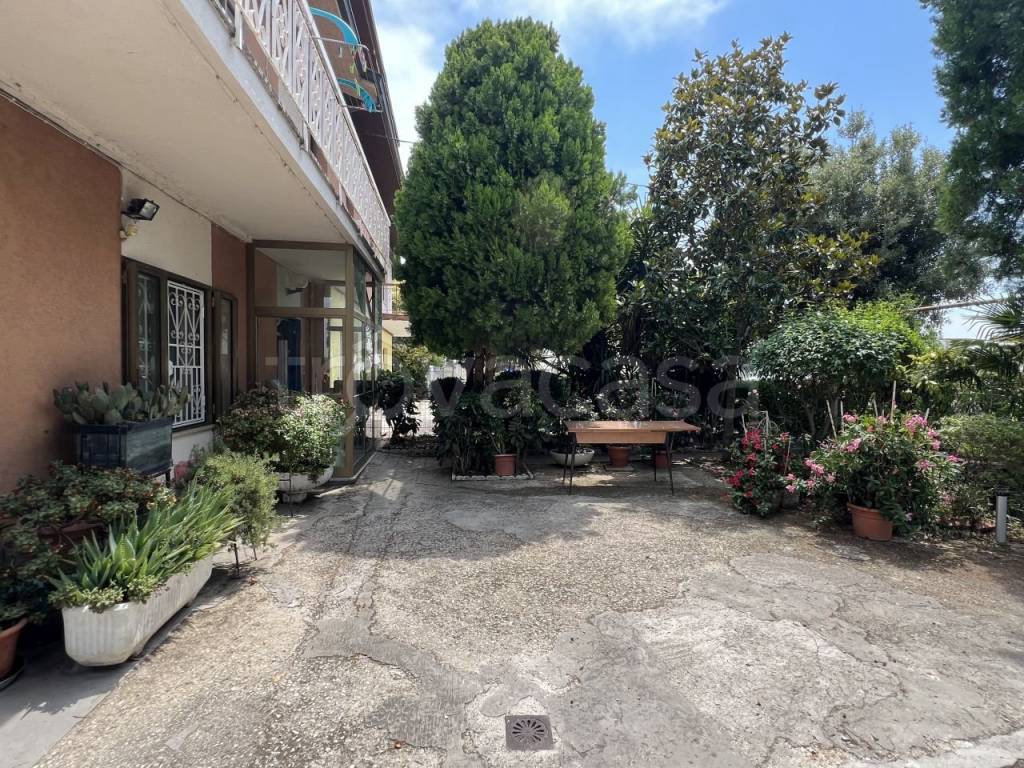immagine annuncio 1 di 14