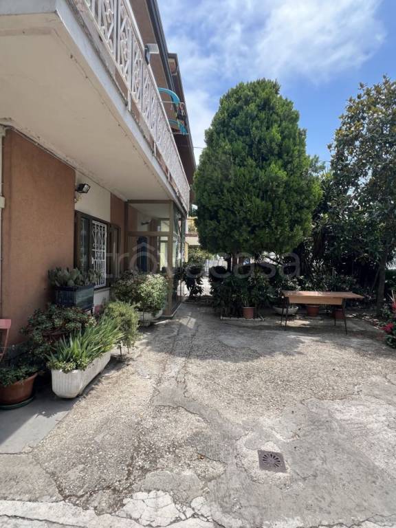 immagine annuncio 7 di 14