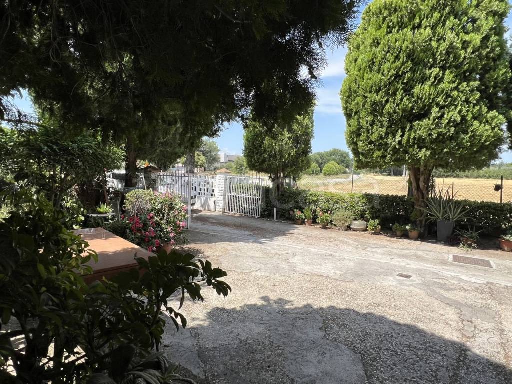 immagine annuncio 2 di 14