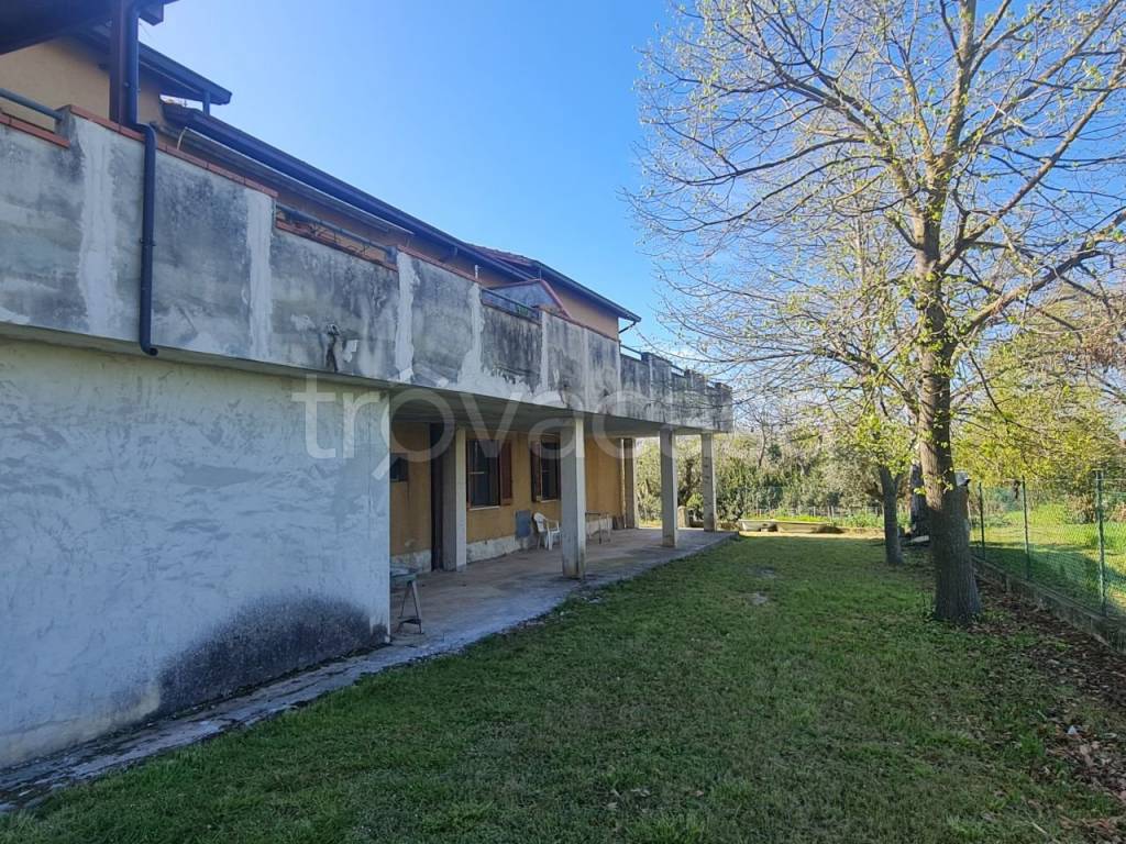 immagine annuncio 3 di 13