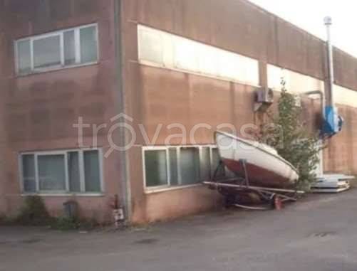 immagine annuncio 2 di 12