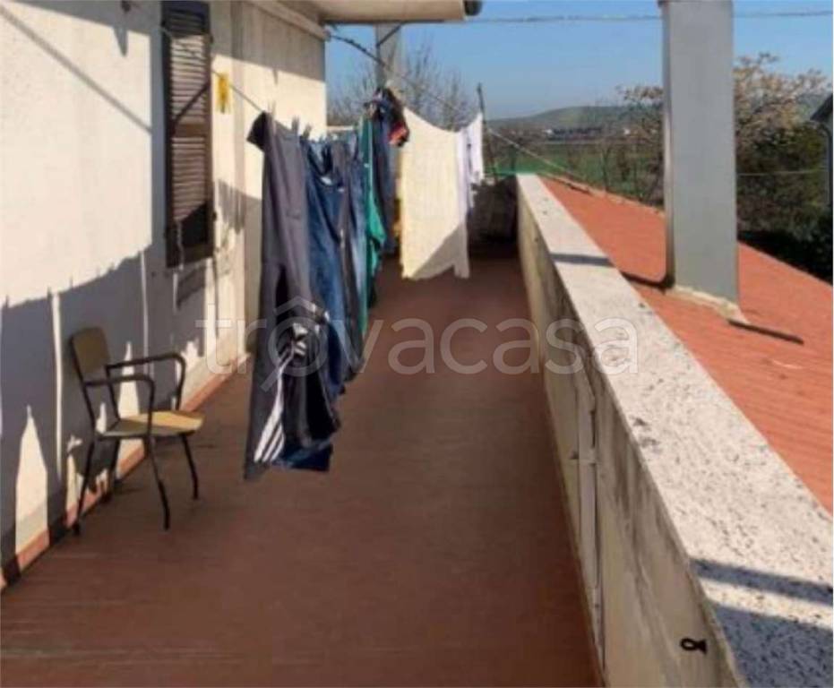 immagine annuncio 9 di 14