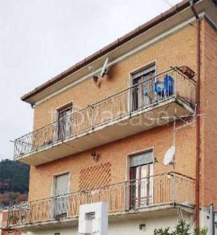 immagine annuncio 6 di 14