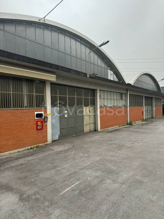 immagine annuncio 9 di 13