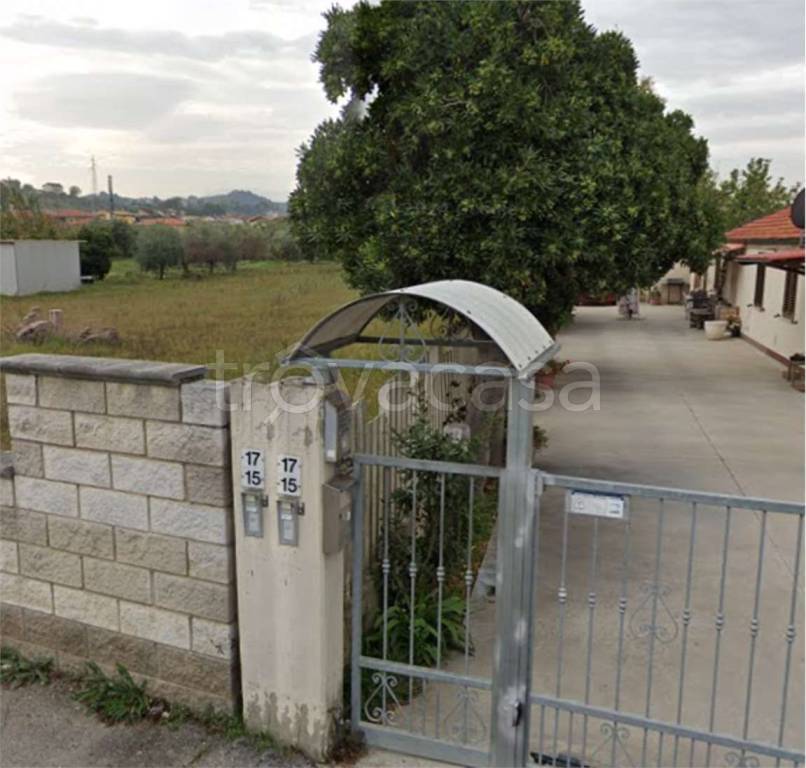immagine annuncio 12 di 15