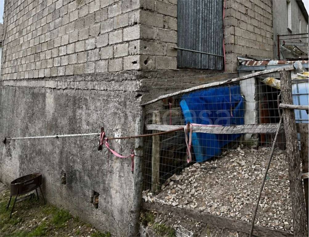 immagine annuncio 10 di 12