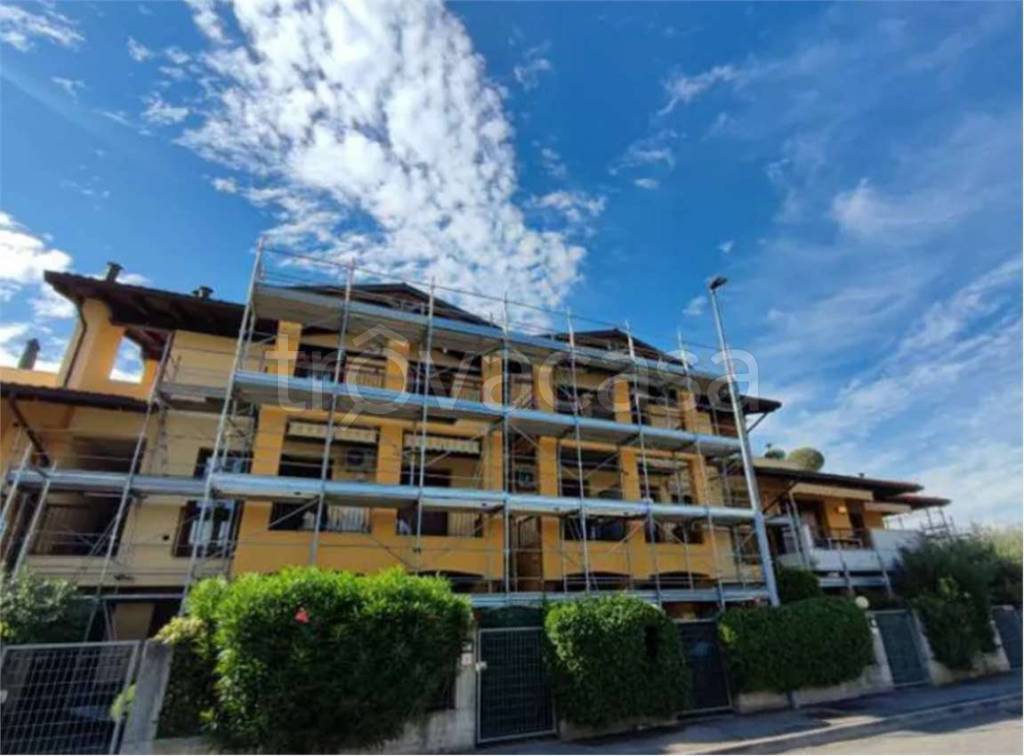 immagine annuncio 9 di 14