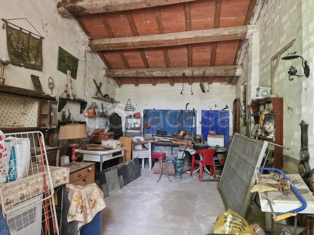immagine annuncio 5 di 15