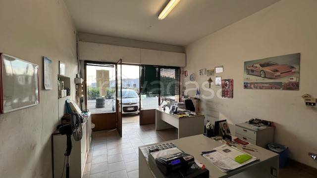 immagine annuncio 12 di 15