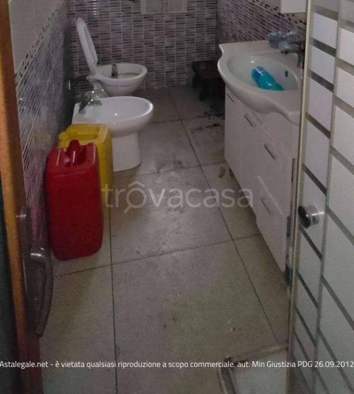 immagine annuncio 9 di 12