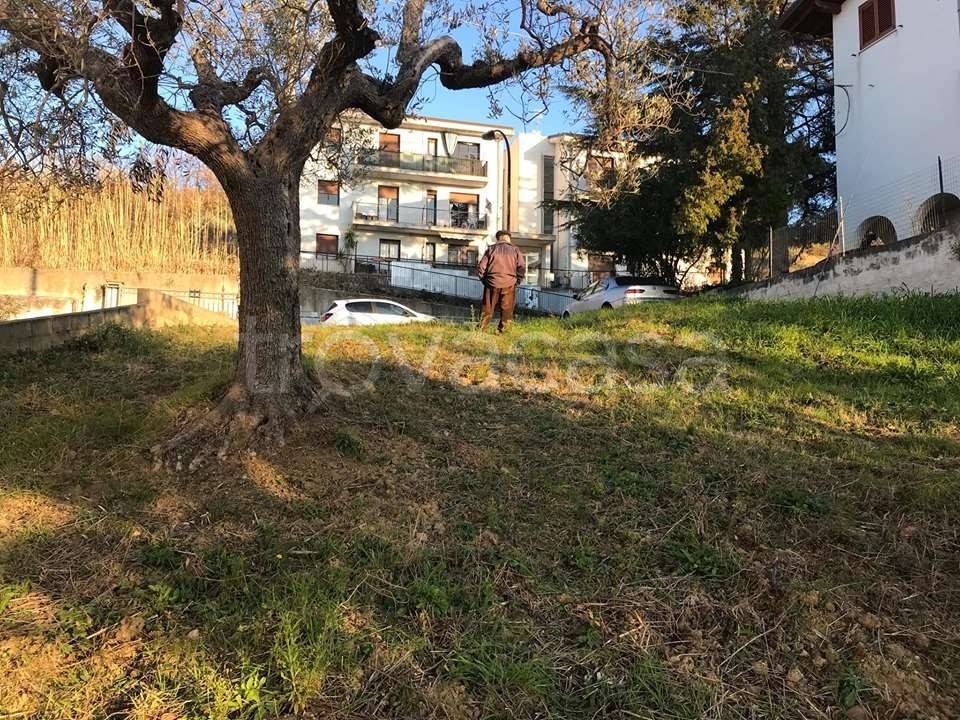 immagine annuncio 3 di 13