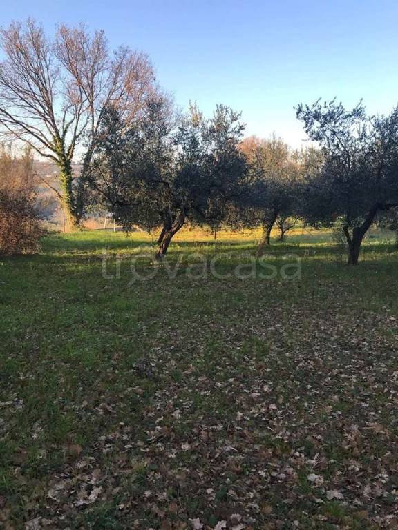 immagine annuncio 12 di 13