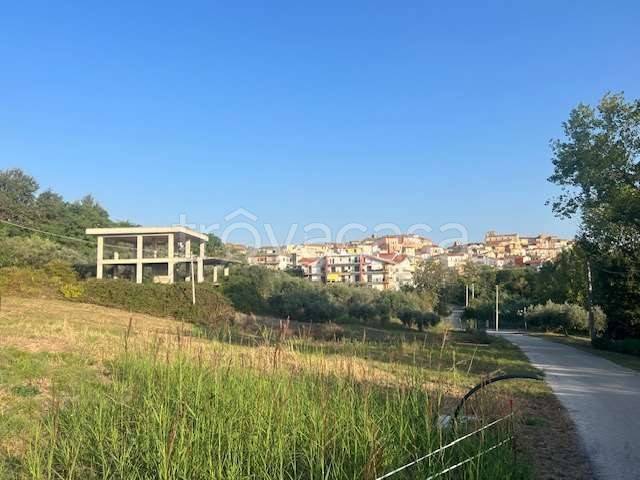 immagine annuncio 5 di 11