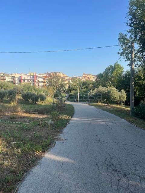 immagine annuncio 7 di 11