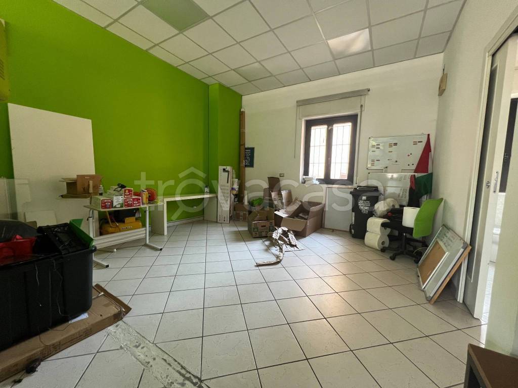 immagine annuncio 9 di 14