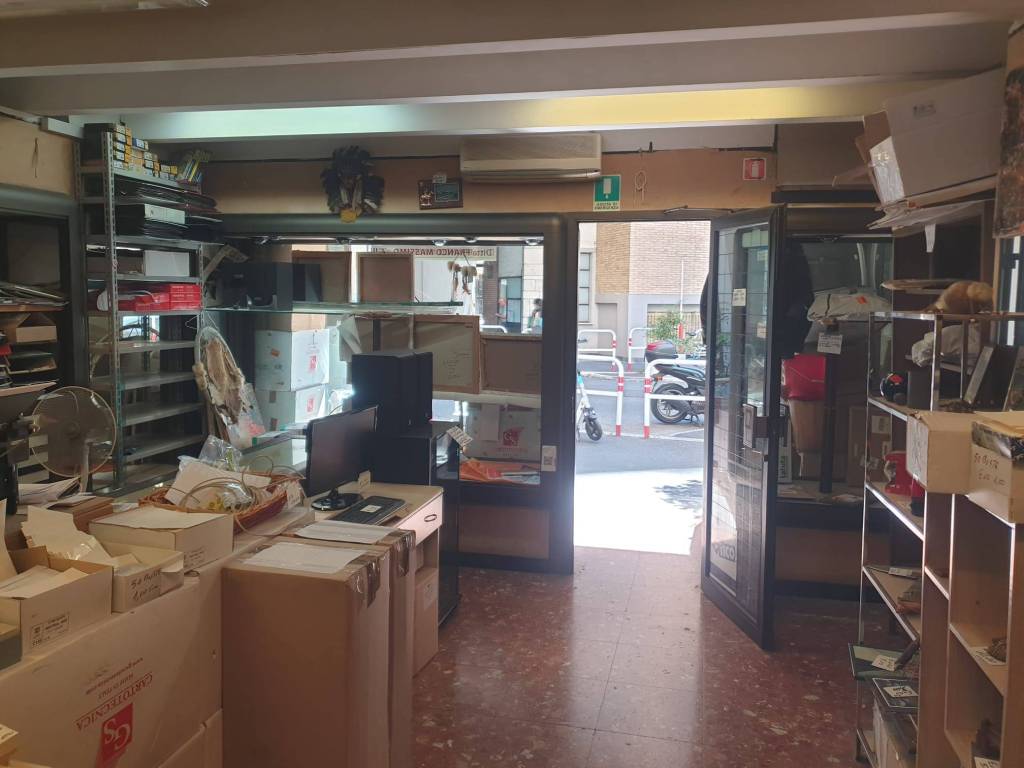 immagine annuncio 7 di 14