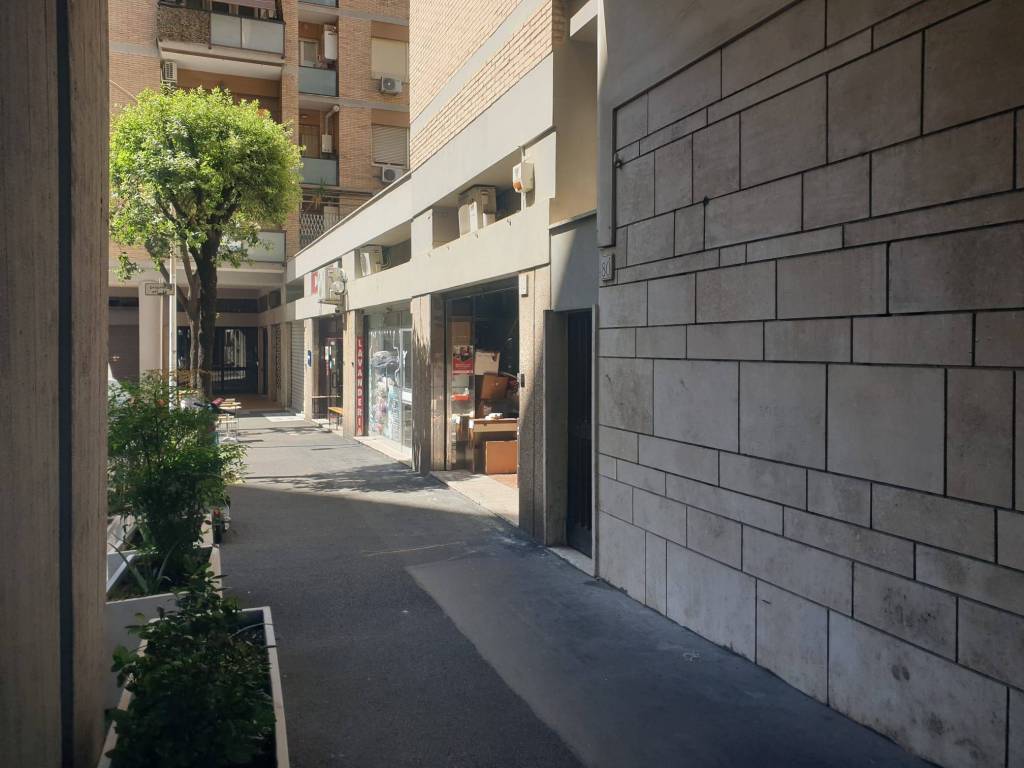 immagine annuncio 11 di 14