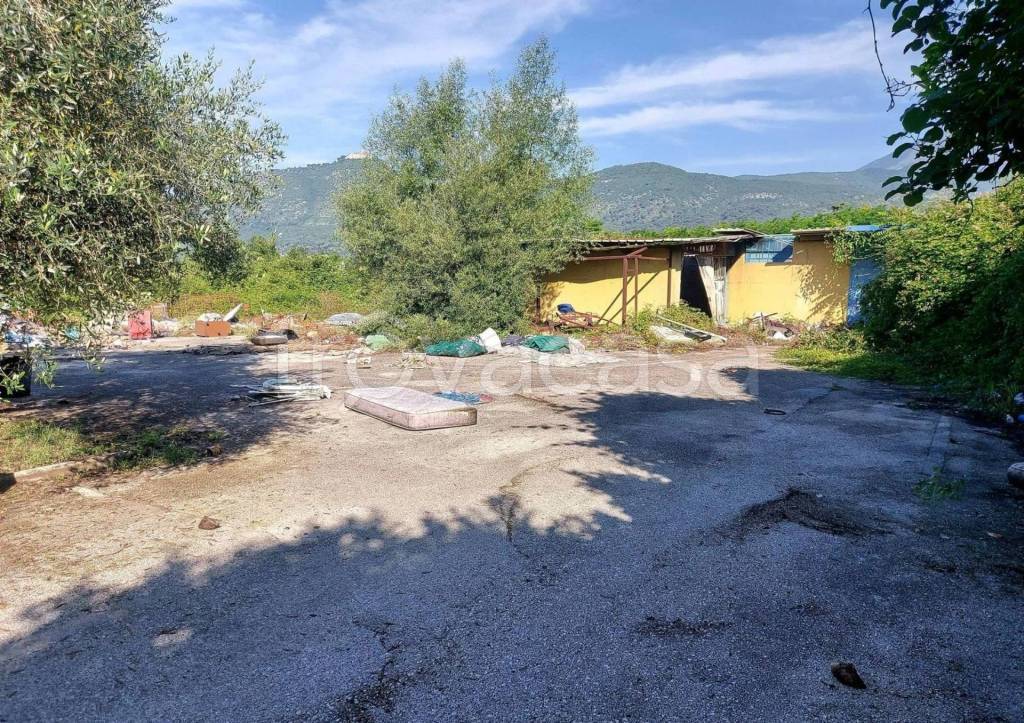 immagine annuncio 3 di 10