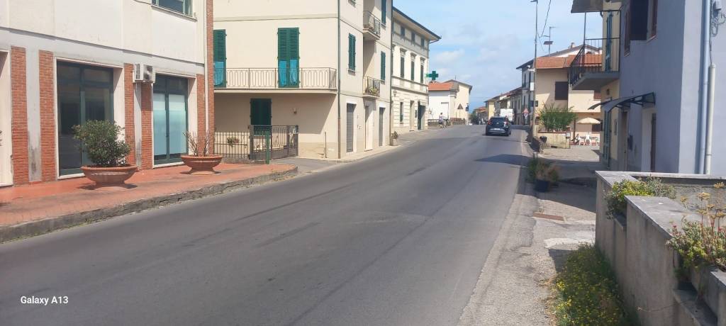 immagine annuncio 11 di 14