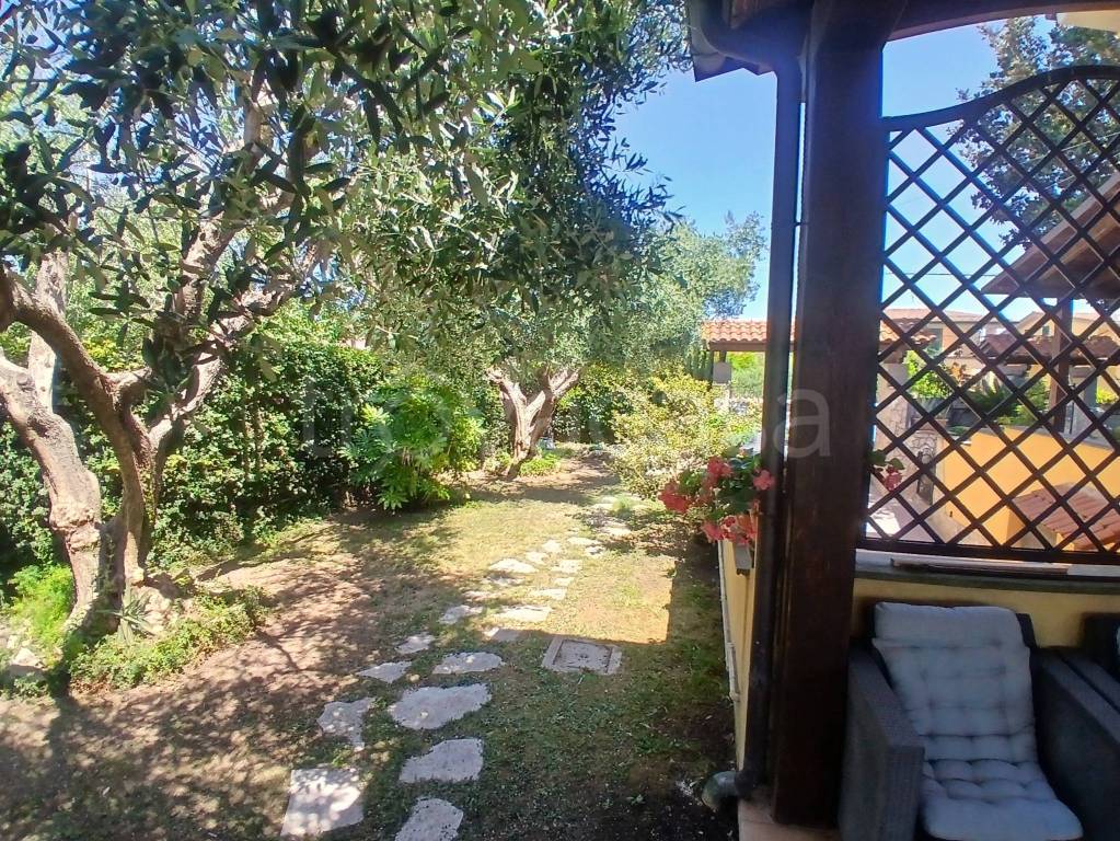 immagine annuncio 11 di 13