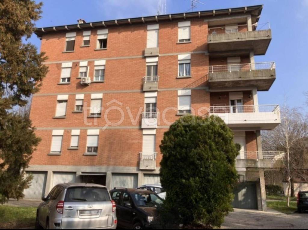 immagine annuncio 5 di 11