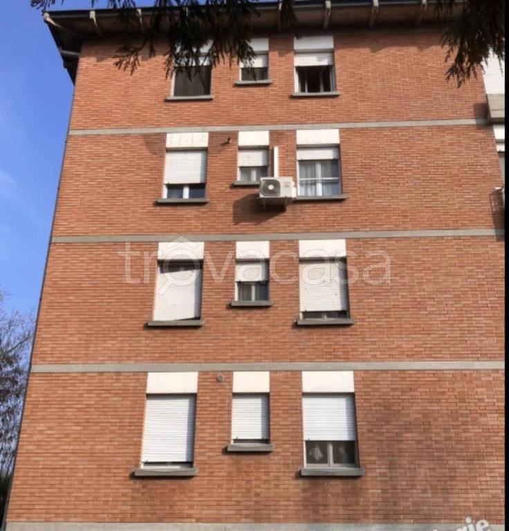 immagine annuncio 6 di 11