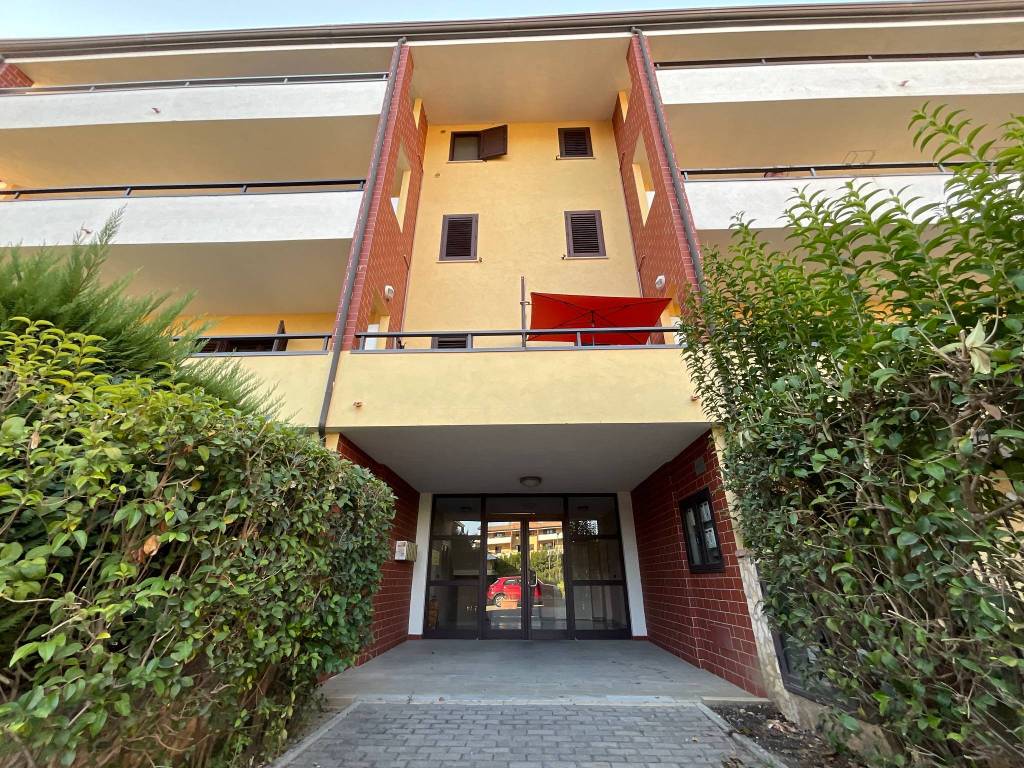 immagine annuncio 3 di 8