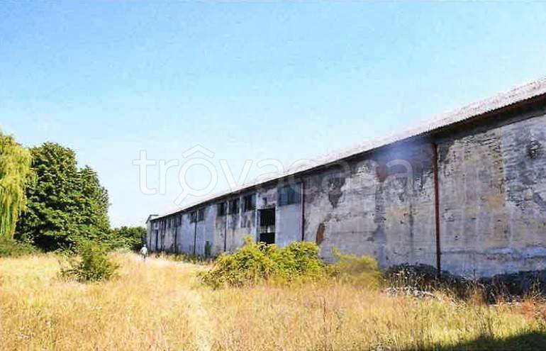 immagine annuncio 3 di 13
