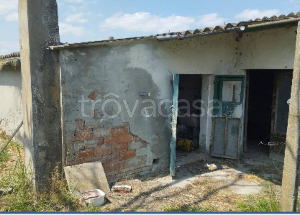immagine annuncio 8 di 12