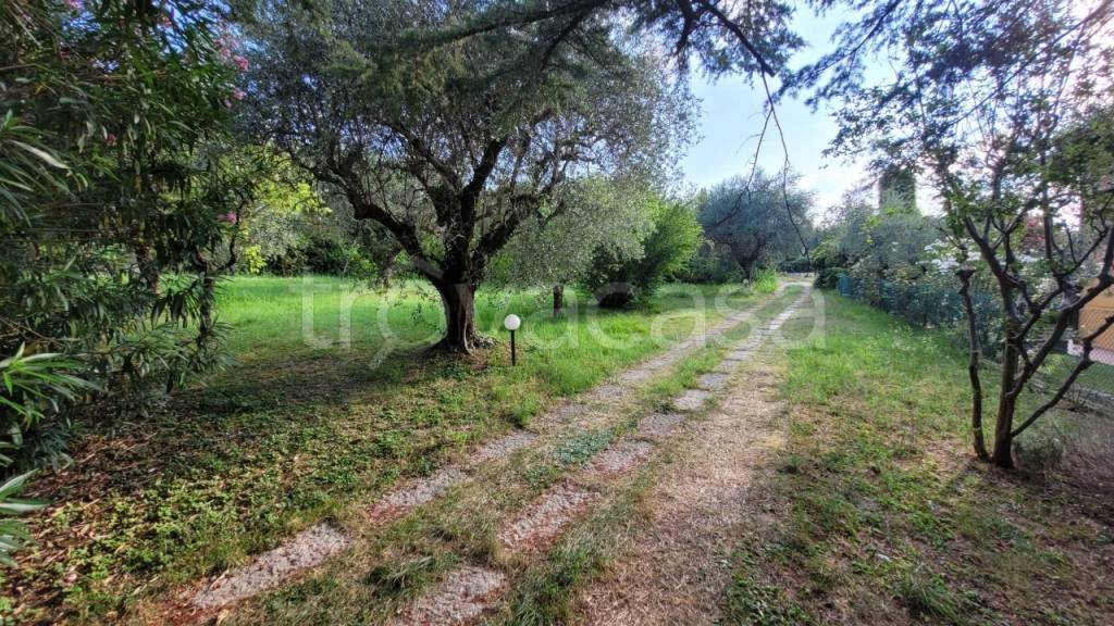 immagine annuncio 7 di 11