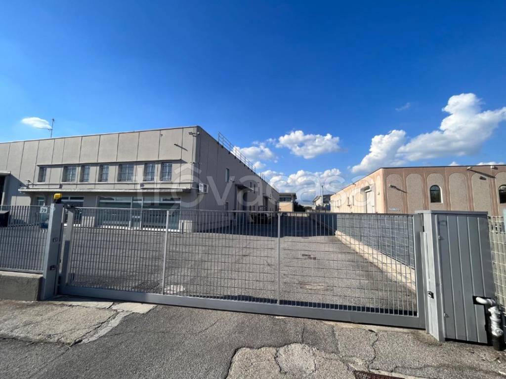 immagine annuncio 9 di 15