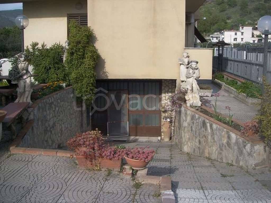 immagine annuncio 11 di 14