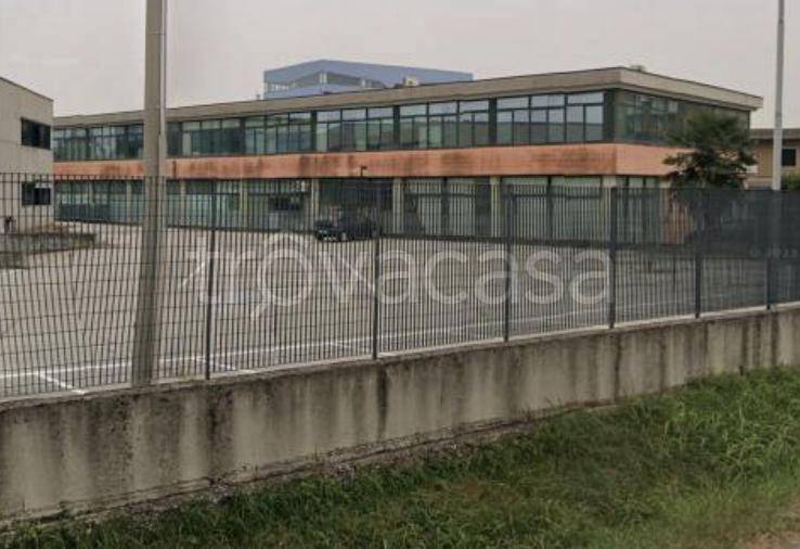immagine annuncio 2 di 11