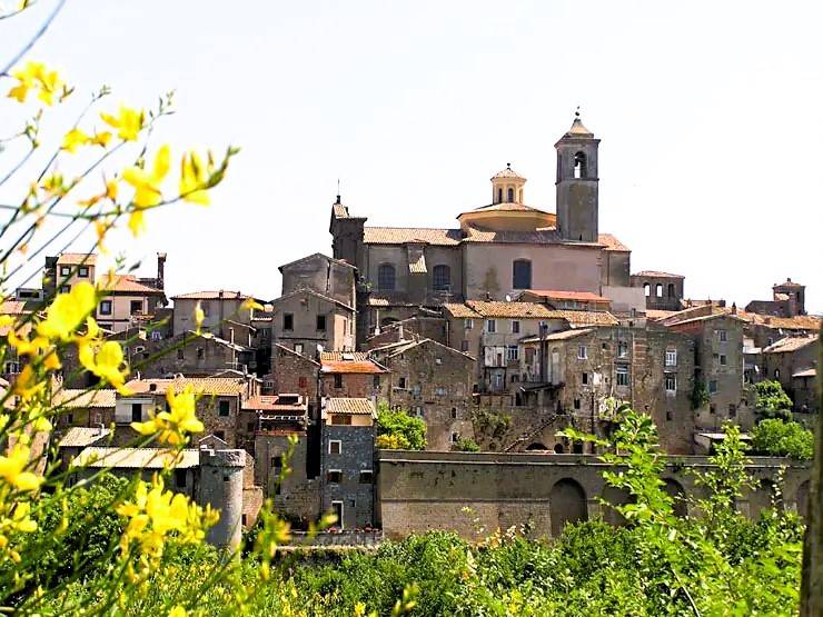 immagine annuncio 6 di 11