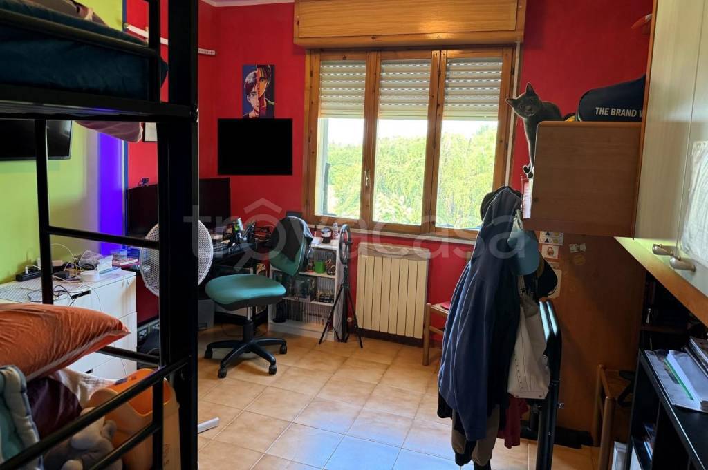 immagine annuncio 7 di 13