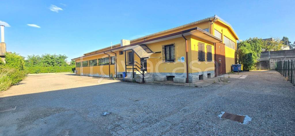 immagine annuncio 9 di 15
