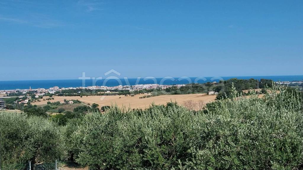 immagine annuncio 8 di 11
