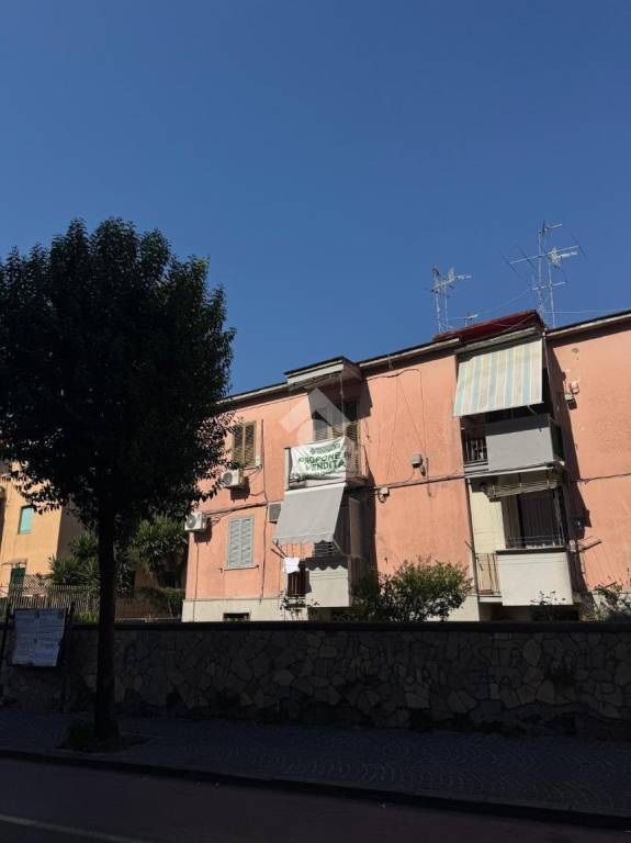 immagine annuncio 1 di 13