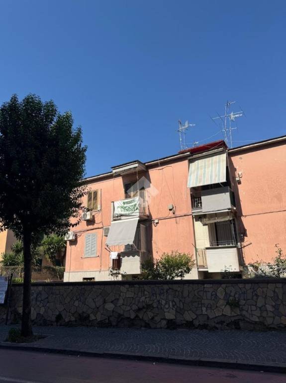 immagine annuncio 12 di 13