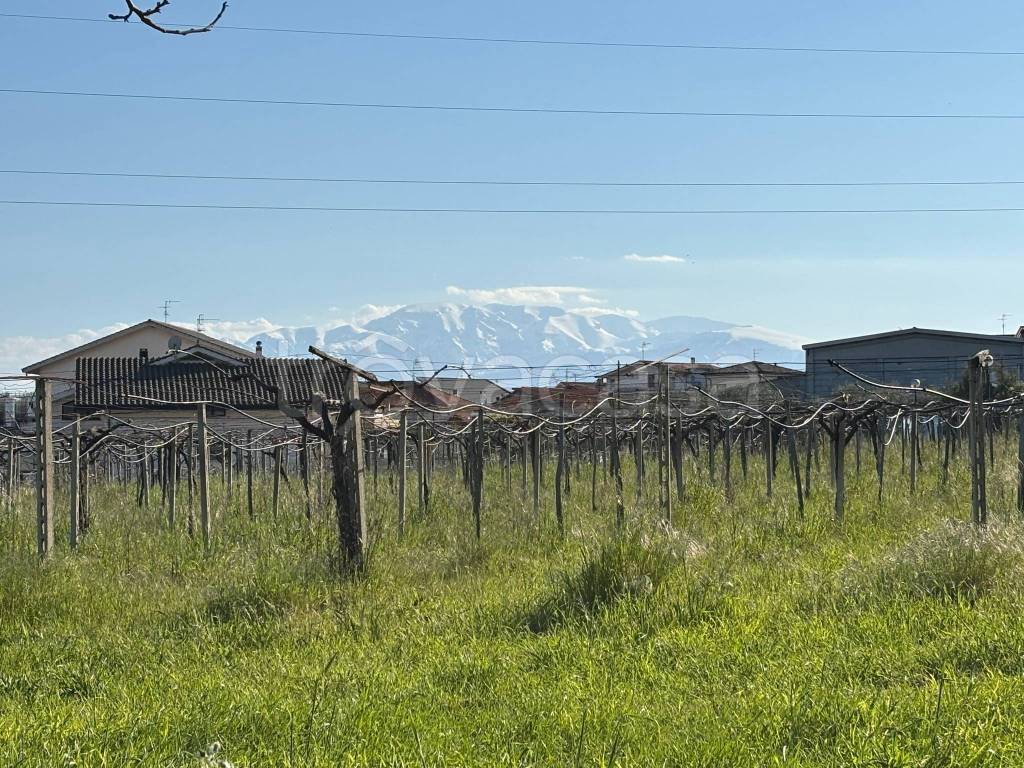 immagine annuncio 9 di 13